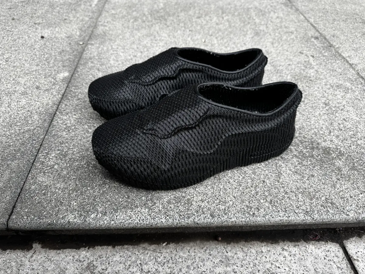 3D Printed Shoe